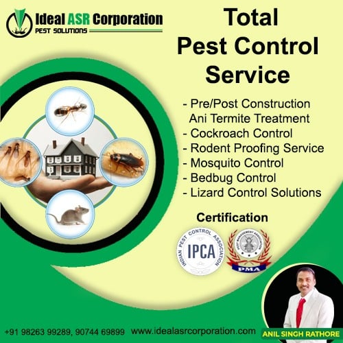 Pest Control Service in Indore